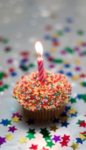 One Year Old!